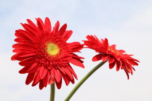 s_99f3d6fb6e5b43f39f2ad933ad6a6ce5.jpg