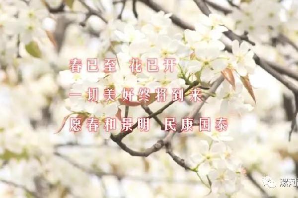 s_8cc3befe5bc74dbba371a48f709adde2.jpg